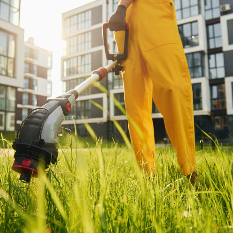 Najlepsza podkaszarka elektryczna – TOP 5 modeli