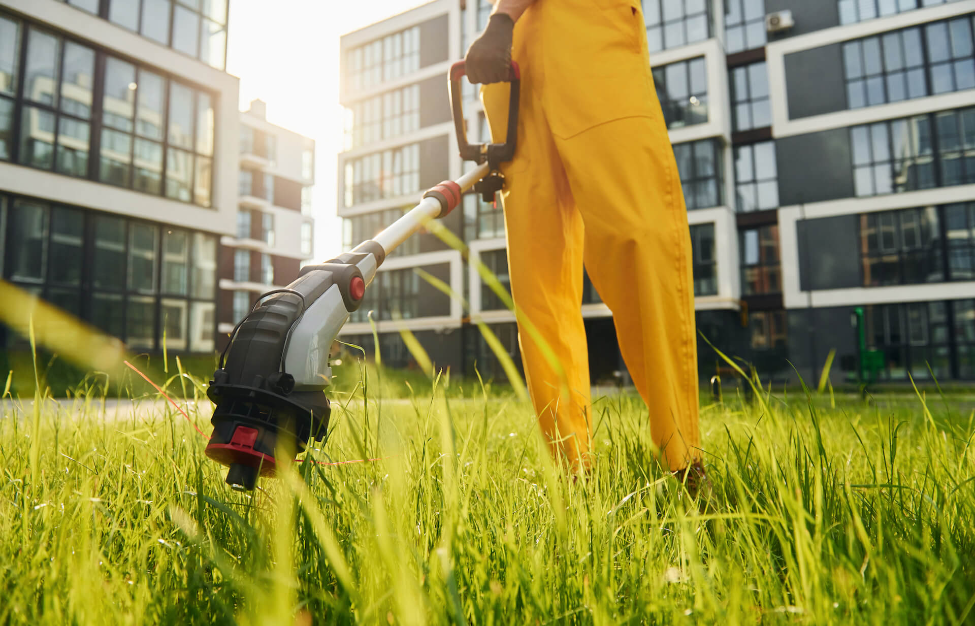 Najlepsza podkaszarka elektryczna – TOP 5 modeli