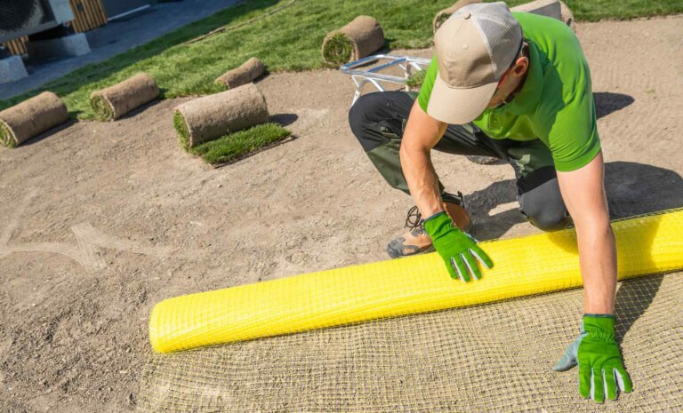 Jaka siatka na krety będzie najlepsza? Poradnik