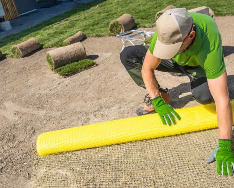 Jaka siatka na krety będzie najlepsza? Poradnik