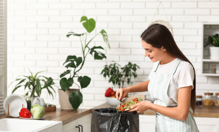 Segregacja w kuchni bez tajemnic: Jak wybrać idealny segregator na śmieci?