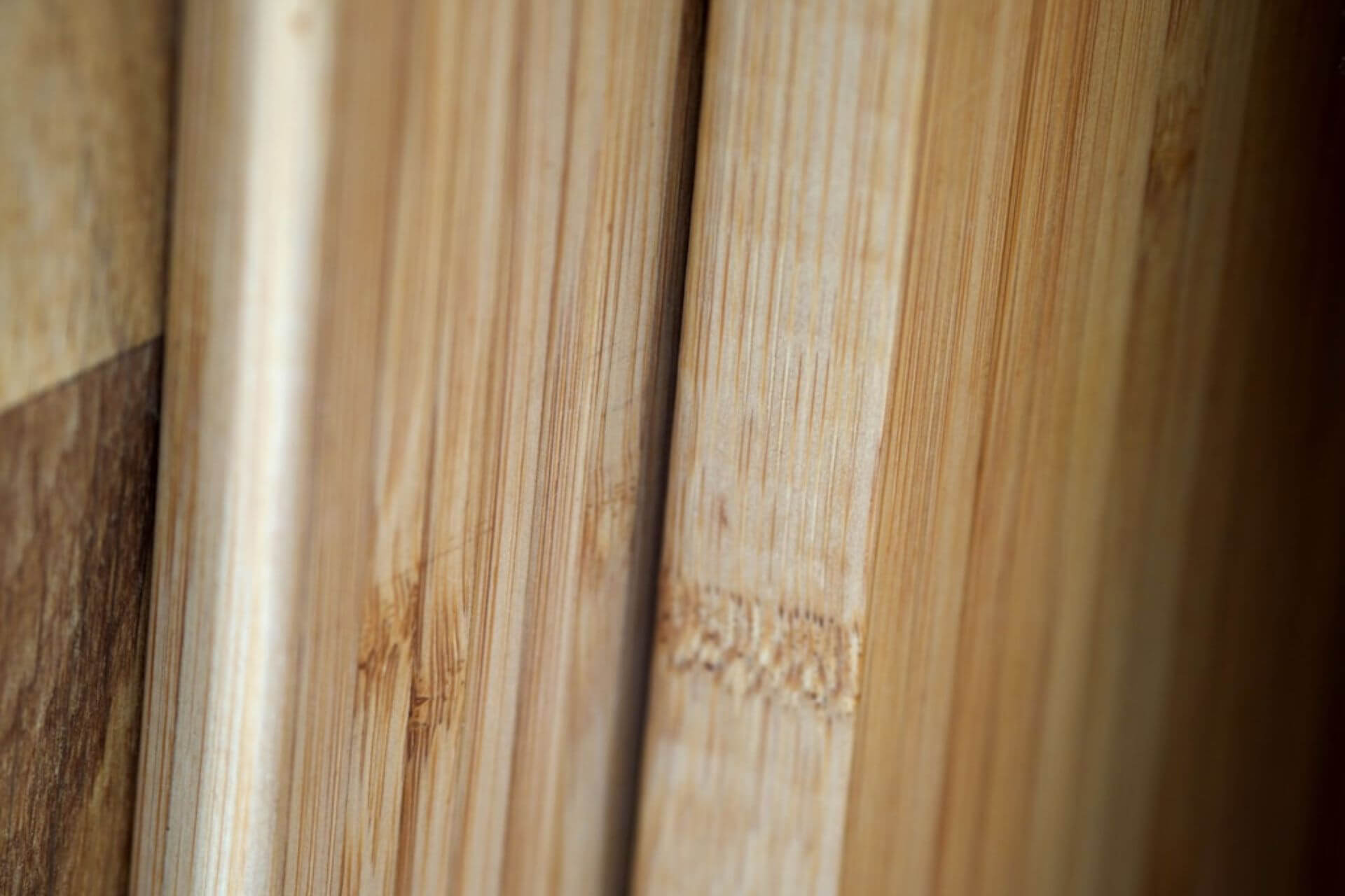 Lamele ścienne – jak wybrać i gdzie stosować?