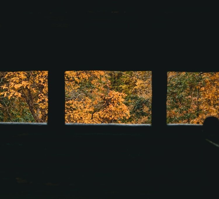 Budowa domu pasywnego: Jakie okna spełniają najbardziej rygorystyczne normy energooszczędności?