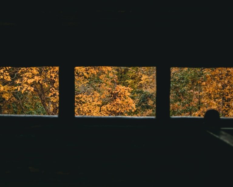 Budowa domu pasywnego: Jakie okna spełniają najbardziej rygorystyczne normy energooszczędności?