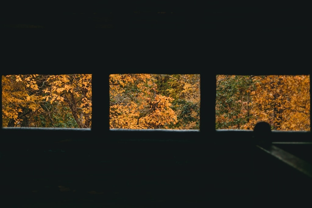 Budowa domu pasywnego: Jakie okna spełniają najbardziej rygorystyczne normy energooszczędności?