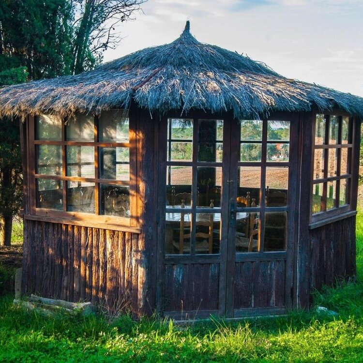 Jak przygotować taras i pergolę na wiosnę?