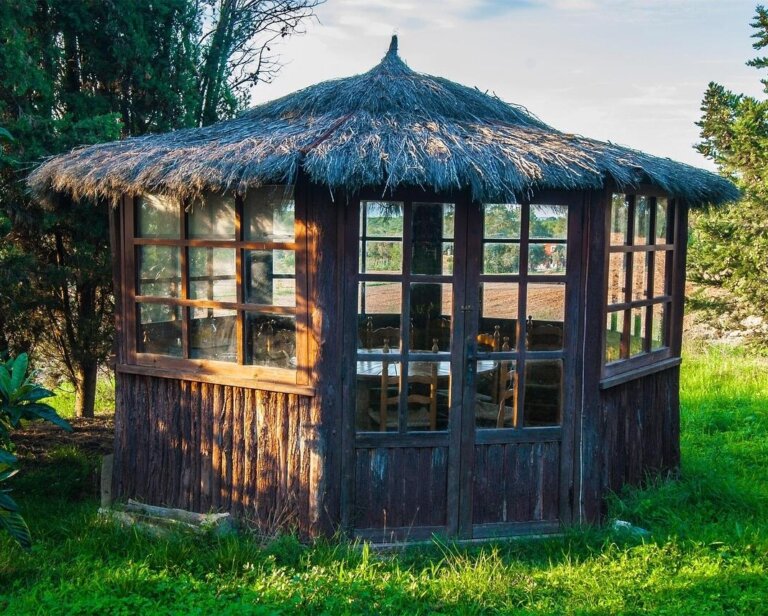 Jak przygotować taras i pergolę na wiosnę?