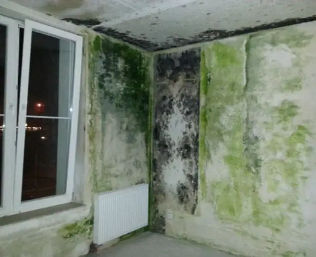 pleśń na ścianach w domu efekt braku wentylacji w domu