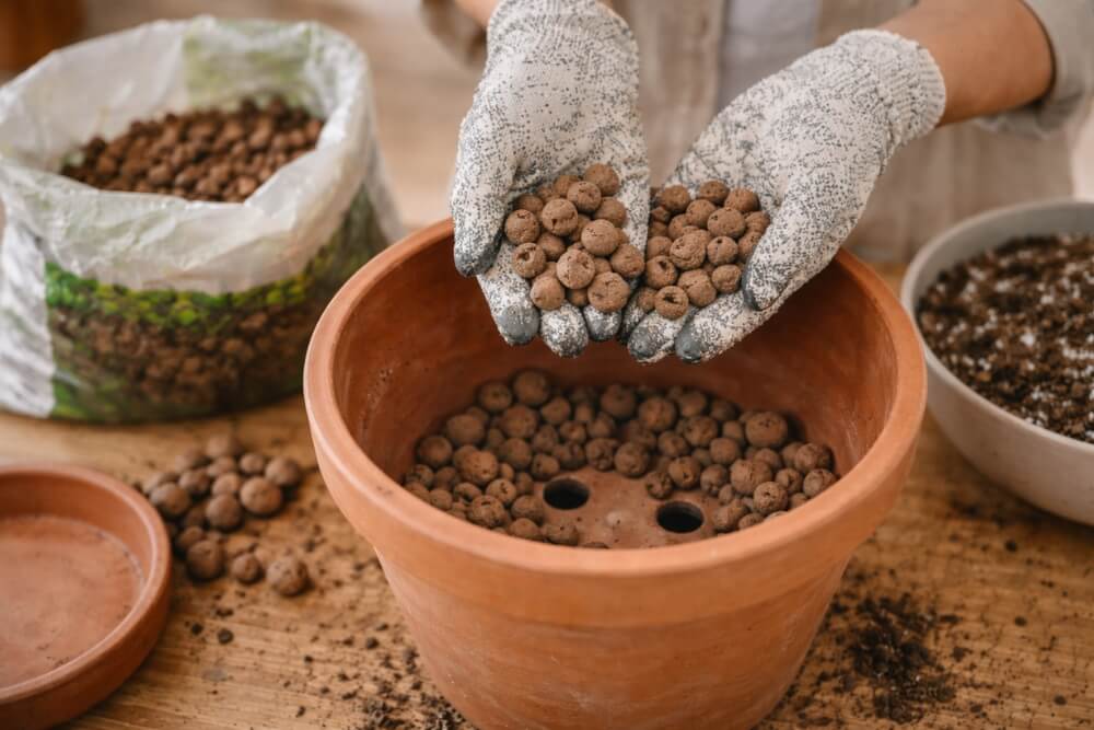 drenaż w doniczce dla skrzydłokwiatu