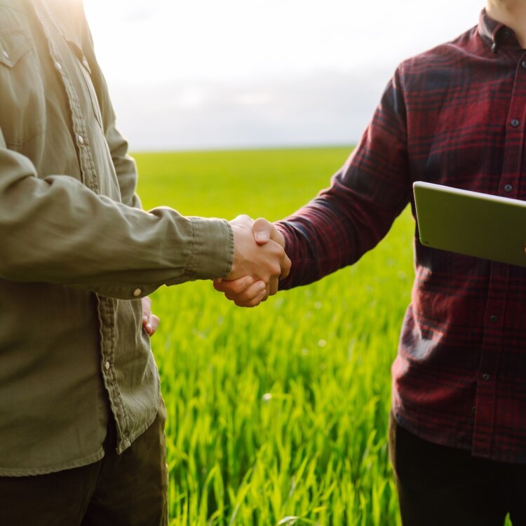 Ryzyka zakupu działki budowlanej – 7 błędów, których warto uniknąć